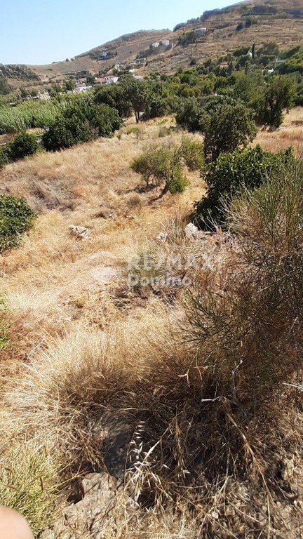 Αγροτεμάχια 6.500 τ.μ. προς πώληση, Οτζιάς