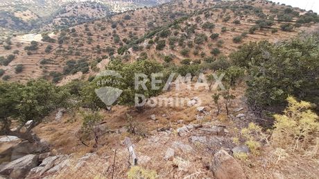 Parcel 44.000sqm for sale-Kea » Agios Simeon