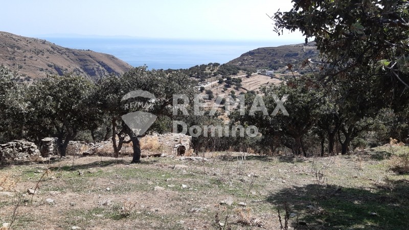 Αγροτεμάχια 4.890 τ.μ. προς πώληση, Άγιος Συμεών Κέας