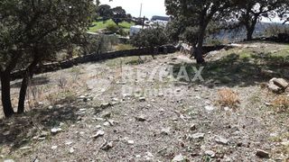 Αγροτεμάχια 4.890 τ.μ. προς πώληση, Άγιος Συμεών Κέας-thumb-9