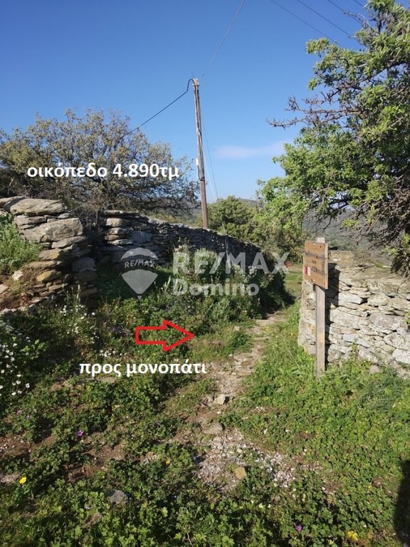 Αγροτεμάχια 4.890 τ.μ. προς πώληση, Άγιος Συμεών Κέας