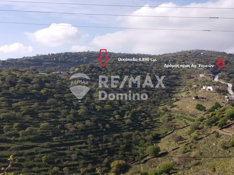 Αγροτεμάχια 4.890 τ.μ. προς πώληση, Άγιος Συμεών Κέας