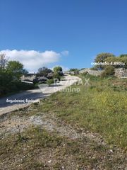 Αγροτεμάχια 4.890 τ.μ. προς πώληση, Άγιος Συμεών Κέας-thumb-12