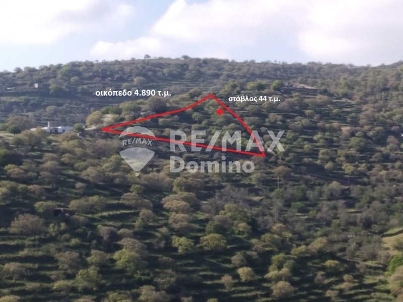 Αγροτεμάχια 4.890 τ.μ. προς πώληση, Άγιος Συμεών Κέας
