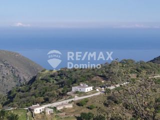 Αγροτεμάχια 4.890 τ.μ. για πώληση