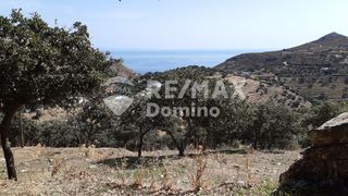 Αγροτεμάχια 4.890 τ.μ. προς πώληση, Άγιος Συμεών Κέας-thumb-8