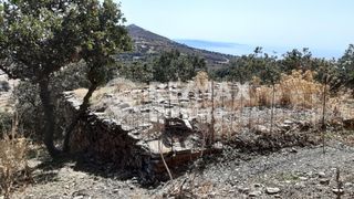 Αγροτεμάχια 4.890 τ.μ. προς πώληση, Άγιος Συμεών Κέας-thumb-7