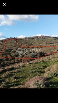 Parcel 12.000 sqm for sale