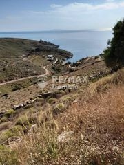 Αγροτεμάχια 6.263 τ.μ. για πώληση