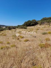 Αγροτεμάχια 4.950 τ.μ. προς πώληση, Τζια-thumb-15