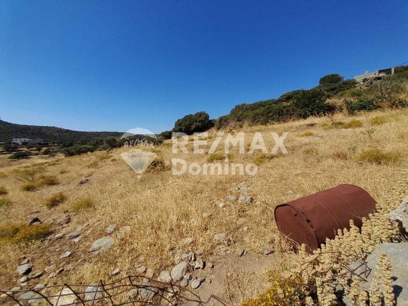 Αγροτεμάχια 4.950 τ.μ. προς πώληση, Τζια