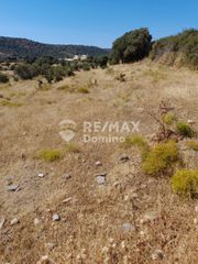 Αγροτεμάχια 4.950 τ.μ. προς πώληση, Τζια-thumb-1