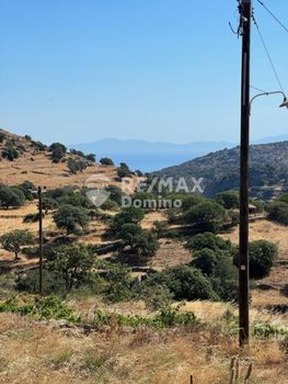 Αγροτεμάχια 4.950τ.μ. για πώληση-Κέα » Τζια