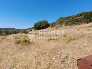 Αγροτεμάχια 4.950 τ.μ. προς πώληση, Τζια-thumb-11
