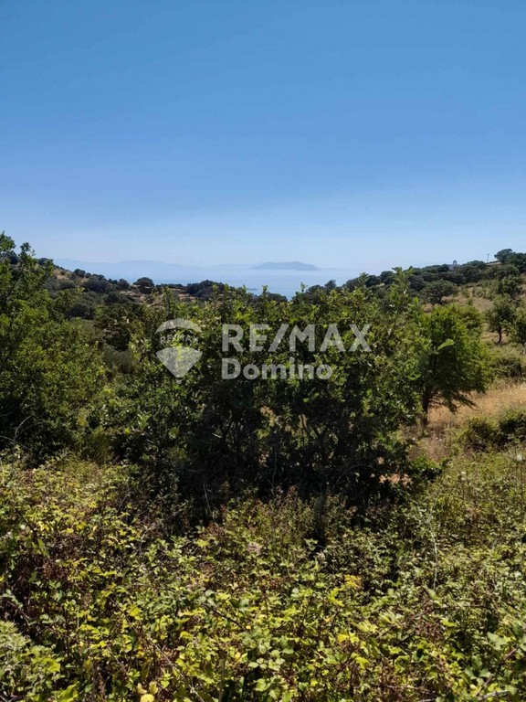 Αγροτεμάχια 4.950 τ.μ. προς πώληση, Τζια