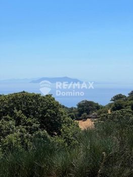 Αγροτεμάχια 16.500τ.μ. για πώληση-Κέα » Καστανιές
