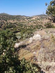 Αγροτεμάχια 10.941 τ.μ. προς πώληση, Πέρα Μεριά-thumb-9