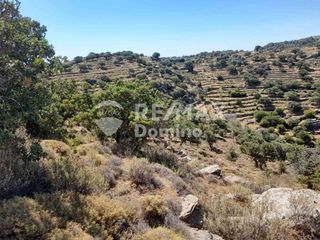 Αγροτεμάχια 10.941 τ.μ. προς πώληση, Πέρα Μεριά-thumb-6
