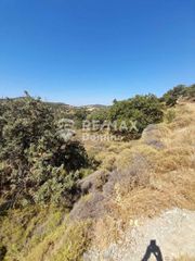 Αγροτεμάχια 10.941 τ.μ. προς πώληση, Πέρα Μεριά-thumb-5