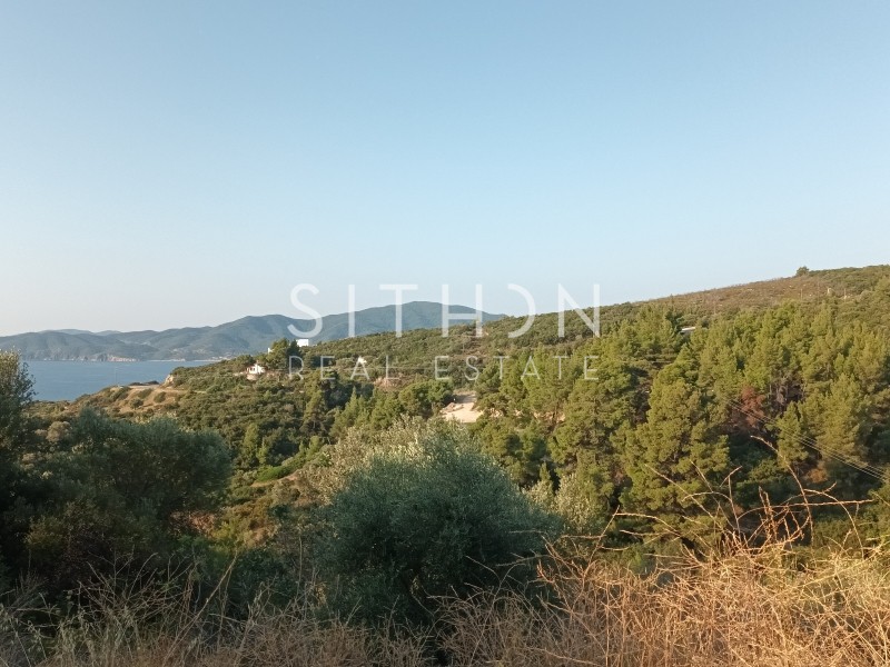 Αγροτεμάχια 11.343 τ.μ. προς πώληση, Σάρτη