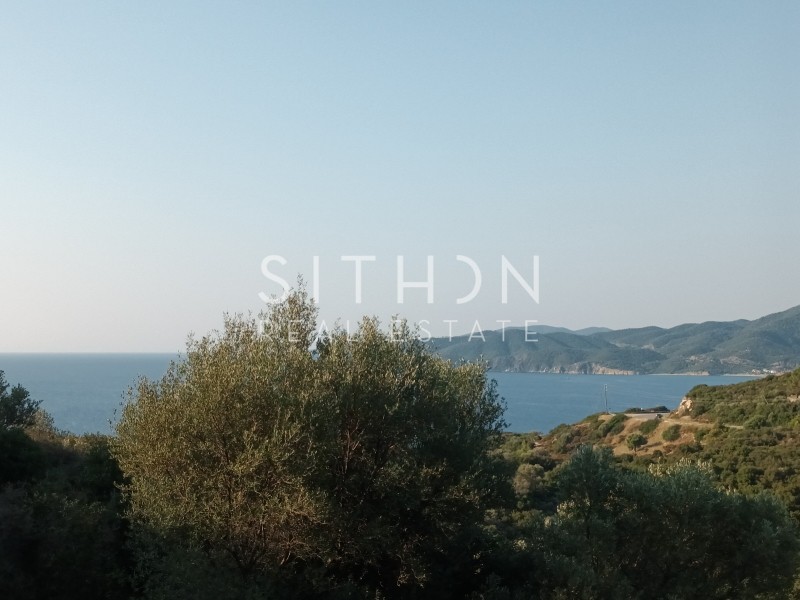 Αγροτεμάχια 11.343 τ.μ. προς πώληση, Σάρτη