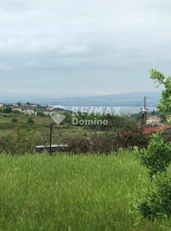 Αγροτεμάχια 2.900 τ.μ. πρός πώληση, Θεσσαλονίκη - Περιφ/Κοί Δήμοι, Θέρμη