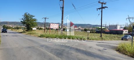 Αγροτεμάχια 9.900 τ.μ. προς πώληση