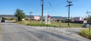 Αγροτεμάχια 9.900 τ.μ. για πώληση