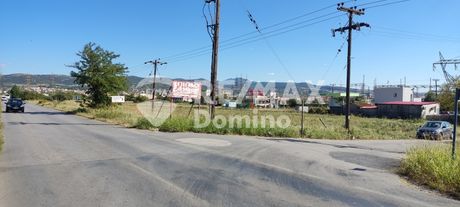 Αγροτεμάχια 9.900 τ.μ. για πώληση