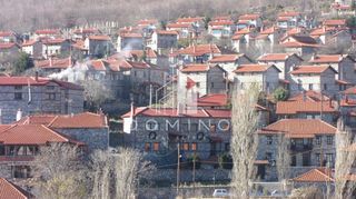 Ξενοδοχείο 390 τ.μ. για πώληση, Πέλλα, Βεγορίτιδα-thumb-2