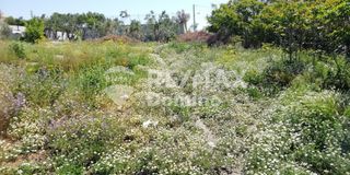 Οικόπεδο 3.000 τ.μ. για πώληση