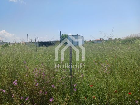 Αγροτεμάχια 5.400τ.μ. για πώληση-Τριγλία » Νέα τρίγλια