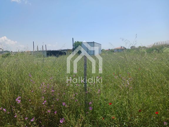 Αγροτεμάχια 5.400 τ.μ. για πώληση, Χαλκιδική, Τριγλία