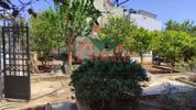 Οικόπεδο 604τ.μ. για πώληση-Αρτέμιδα (λούτσα) » Κατασκηνώσεις