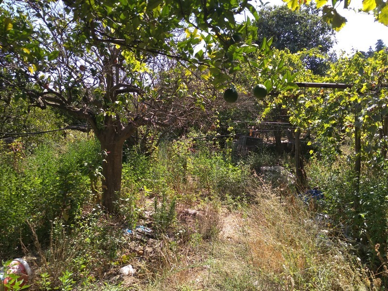 Οικόπεδο 500 τ.μ. προς πώληση, Βατόλακκος Μουσούρων