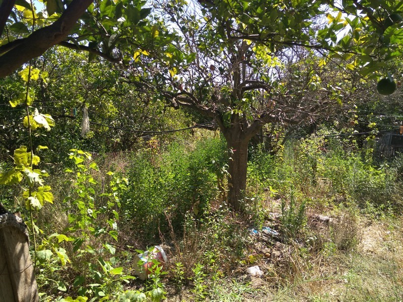 Οικόπεδο 500 τ.μ. προς πώληση, Βατόλακκος Μουσούρων