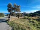 Land plot 495sqm for sale-Foinikas » Sellia