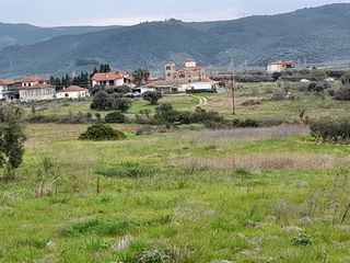 Οικόπεδο 2.006 τ.μ. για πώληση