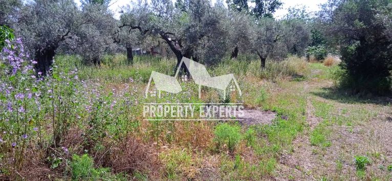 Αγροτεμάχια 4.000 τ.μ. για πώληση, Εβρος, Αλεξανδρούπολη