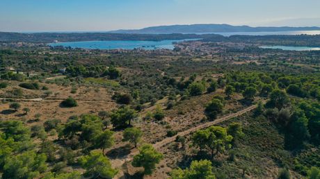 Αγροτεμάχια 16.400 τ.μ. για πώληση