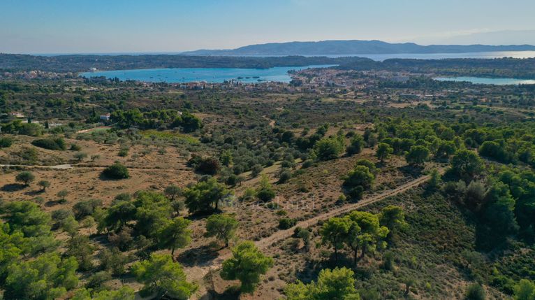 Αγροτεμάχια 16.400 τ.μ. για πώληση, Αργολίδα, Κρανίδι