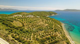 Αγροτεμάχια 6.660 τ.μ. για πώληση, Μεσσηνία, Μεθώνη-thumb-11