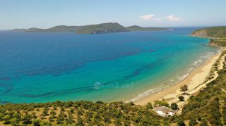 Αγροτεμάχια 6.660 τ.μ. για πώληση