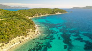 Αγροτεμάχια 6.660 τ.μ. για πώληση, Μεσσηνία, Μεθώνη-thumb-9