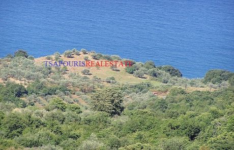 Οικόπεδο 9.207 τ.μ. για πώληση