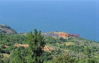 Οικόπεδο 9.207 τ.μ. για πώληση, Ν. Λάρισας, Ευρύμενο-thumb-1
