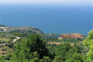 Οικόπεδο 9.207 τ.μ. για πώληση, Ν. Λάρισας, Ευρύμενο-thumb-2