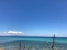 Parcel 5.000sqm for sale-Kassandra » Kriopigi