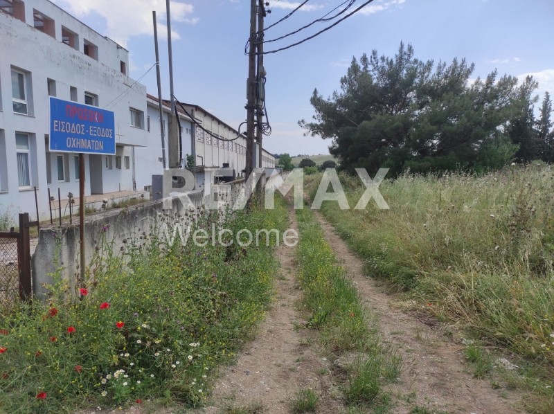 Αγροτεμάχια 36.071 τ.μ. προς πώληση, Παλαιόκαστρο Ωραιοκάστρου
