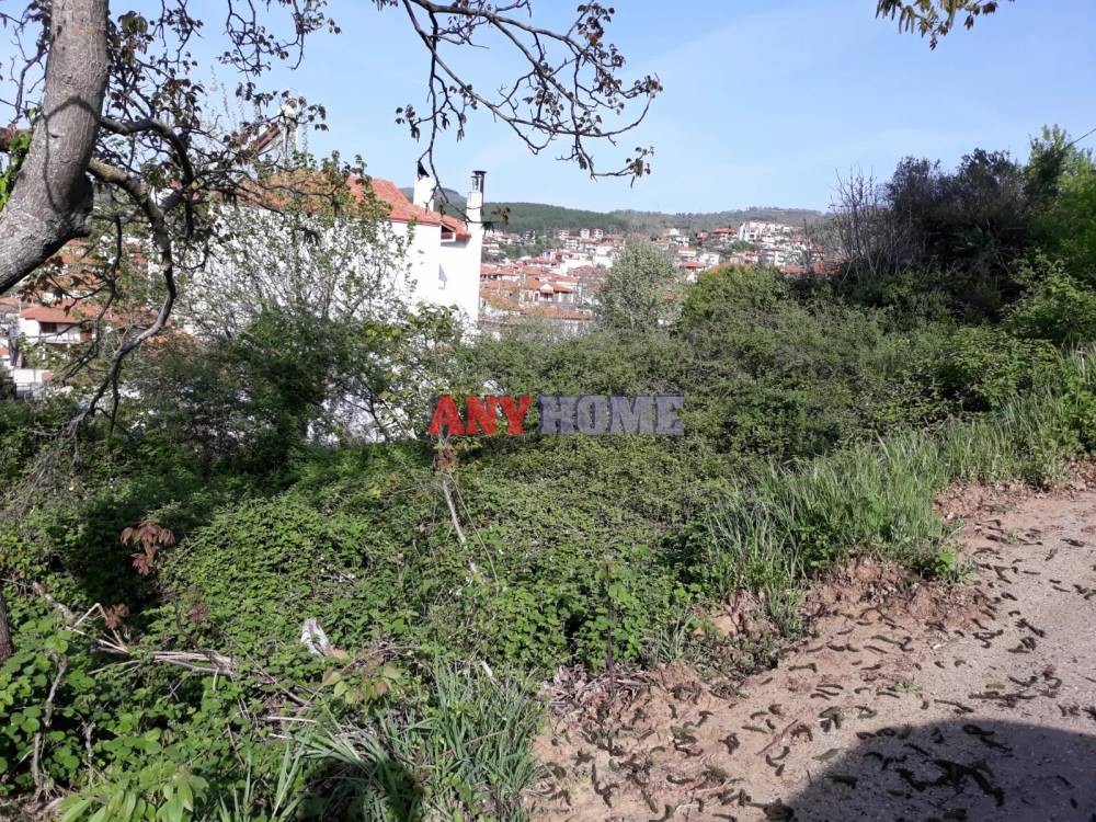 Οικόπεδο 303 τ.μ. προς πώληση, Μεγάλη Παναγία